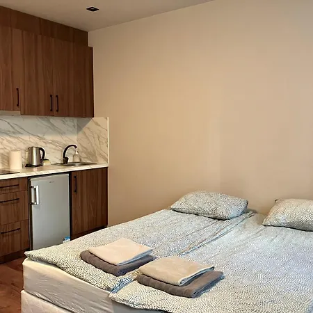 Rvr Smart 2 With Self Check In