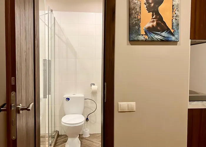 Rvr Smart 2 With Self Check In 3*