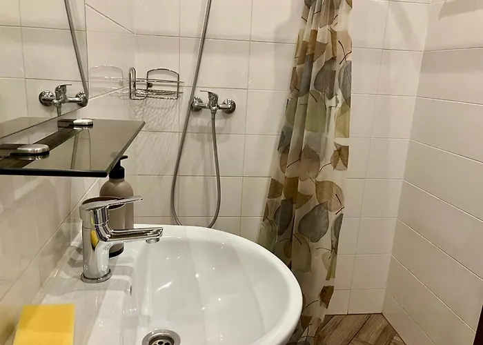 Rvr Smart 2 With Self Check In