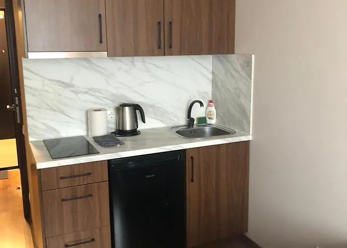 Rvr Smart 2 With Self Check In 3*